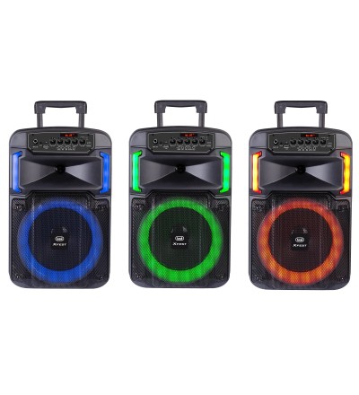 Trevi Trevi Altoparlante 25W XF 370 KB Wireless USB Micro SD AUX-IN
