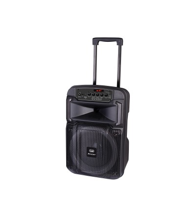 Trevi Trevi Altoparlante 25W XF 370 KB Wireless USB Micro SD AUX-IN