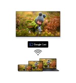 Thomson Thomson 55QG7C14 Smart TV QLED 55 Pollici Nero